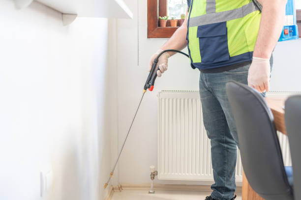 Best Local Pest Control Services  in Manassas Park, VA